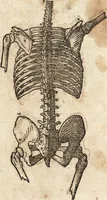An illustration from Varia conmensuracion para le escultura y arquitectura (1675)