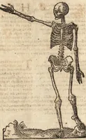 An illustration from Varia conmensuracion para le escultura y arquitectura (1675)