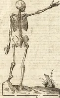An illustration from Varia conmensuracion para le escultura y arquitectura (1675)