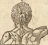 An illustration from Varia conmensuracion para le escultura y arquitectura (1675)