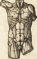 An illustration from Varia conmensuracion para le escultura y arquitectura (1675)