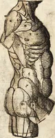An illustration from Varia conmensuracion para le escultura y arquitectura (1675)