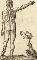 An illustration from Varia conmensuracion para le escultura y arquitectura (1675)