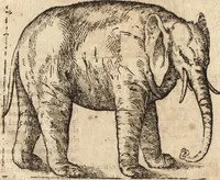 An illustration from Varia conmensuracion para le escultura y arquitectura (1675)