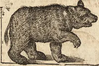 An illustration from Varia conmensuracion para le escultura y arquitectura (1675)
