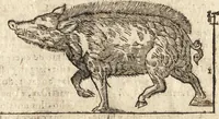 An illustration from Varia conmensuracion para le escultura y arquitectura (1675)