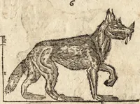 An illustration from Varia conmensuracion para le escultura y arquitectura (1675)