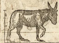 An illustration from Varia conmensuracion para le escultura y arquitectura (1675)