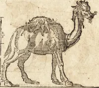 An illustration from Varia conmensuracion para le escultura y arquitectura (1675)