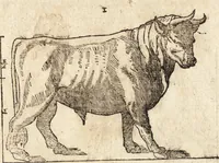 An illustration from Varia conmensuracion para le escultura y arquitectura (1675)