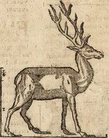 An illustration from Varia conmensuracion para le escultura y arquitectura (1675)