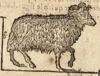 An illustration from Varia conmensuracion para le escultura y arquitectura (1675)