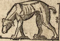 An illustration from Varia conmensuracion para le escultura y arquitectura (1675)