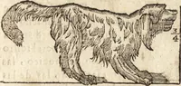 An illustration from Varia conmensuracion para le escultura y arquitectura (1675)
