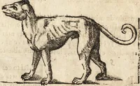 An illustration from Varia conmensuracion para le escultura y arquitectura (1675)