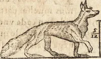 An illustration from Varia conmensuracion para le escultura y arquitectura (1675)