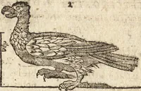 An illustration from Varia conmensuracion para le escultura y arquitectura (1675)