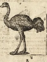 An illustration from Varia conmensuracion para le escultura y arquitectura (1675)
