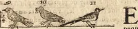 An illustration from Varia conmensuracion para le escultura y arquitectura (1675)