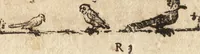 An illustration from Varia conmensuracion para le escultura y arquitectura (1675)