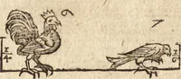 An illustration from Varia conmensuracion para le escultura y arquitectura (1675)