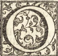 An illustration from Venetia, citta nobilissima et singolare : descritta in XIIII. libri (1581)