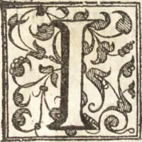An illustration from Venetia, citta nobilissima et singolare : descritta in XIIII. libri (1581)