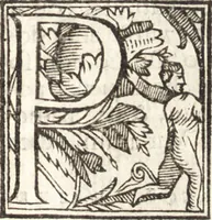 An illustration from Venetia, citta nobilissima et singolare : descritta in XIIII. libri (1581)