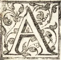 An illustration from Venetia, citta nobilissima et singolare : descritta in XIIII. libri (1581)