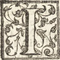 An illustration from Venetia, citta nobilissima et singolare : descritta in XIIII. libri (1581)