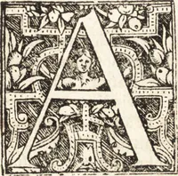 An illustration from Vitae et icones sultanorum Turcicorum, principum Persarum aliorumq[ue] illustrium heroum heroinarumq[ue] ab Osmane usq[ue] ad Mahometem II : ad vivum ex antiquis mettallis effictae, primum ex Co[n]sta[n]tinopoli D. Imp. Ferdina[n]do oblatae nunc descriptae & tetras[t]ichis succinctis illustratae (1596)