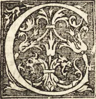 An illustration from Vitae et icones sultanorum Turcicorum, principum Persarum aliorumq[ue] illustrium heroum heroinarumq[ue] ab Osmane usq[ue] ad Mahometem II : ad vivum ex antiquis mettallis effictae, primum ex Co[n]sta[n]tinopoli D. Imp. Ferdina[n]do oblatae nunc descriptae & tetras[t]ichis succinctis illustratae (1596)