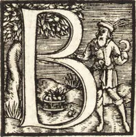 An illustration from Vitae et icones sultanorum Turcicorum, principum Persarum aliorumq[ue] illustrium heroum heroinarumq[ue] ab Osmane usq[ue] ad Mahometem II : ad vivum ex antiquis mettallis effictae, primum ex Co[n]sta[n]tinopoli D. Imp. Ferdina[n]do oblatae nunc descriptae & tetras[t]ichis succinctis illustratae (1596)