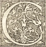 An illustration from Vitae et icones sultanorum Turcicorum, principum Persarum aliorumq[ue] illustrium heroum heroinarumq[ue] ab Osmane usq[ue] ad Mahometem II : ad vivum ex antiquis mettallis effictae, primum ex Co[n]sta[n]tinopoli D. Imp. Ferdina[n]do oblatae nunc descriptae & tetras[t]ichis succinctis illustratae (1596)