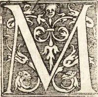 An illustration from Vitae et icones sultanorum Turcicorum, principum Persarum aliorumq[ue] illustrium heroum heroinarumq[ue] ab Osmane usq[ue] ad Mahometem II : ad vivum ex antiquis mettallis effictae, primum ex Co[n]sta[n]tinopoli D. Imp. Ferdina[n]do oblatae nunc descriptae & tetras[t]ichis succinctis illustratae (1596)