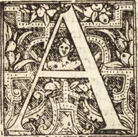 An illustration from Vitae et icones sultanorum Turcicorum, principum Persarum aliorumq[ue] illustrium heroum heroinarumq[ue] ab Osmane usq[ue] ad Mahometem II : ad vivum ex antiquis mettallis effictae, primum ex Co[n]sta[n]tinopoli D. Imp. Ferdina[n]do oblatae nunc descriptae & tetras[t]ichis succinctis illustratae (1596)