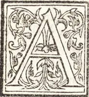 An illustration from Le vite de piv eccellenti architetti, pittori, et scvltori italiani : da Cimabve in sino à tempi nostri (1550)