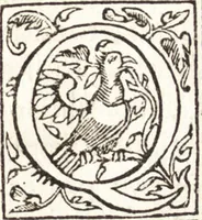 An illustration from Le vite de piv eccellenti architetti, pittori, et scvltori italiani : da Cimabve in sino à tempi nostri (1550)