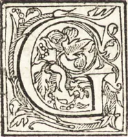 Picture 41 of 85 from Le vite de piv eccellenti architetti, pittori, et scvltori italiani : da Cimabve in sino à tempi nostri (1550), leaf 281