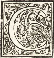 An illustration from Le vite de piv eccellenti architetti, pittori, et scvltori italiani : da Cimabve in sino à tempi nostri (1550)