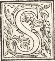 Picture 46 of 85 from Le vite de piv eccellenti architetti, pittori, et scvltori italiani : da Cimabve in sino à tempi nostri (1550), leaf 355