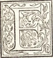 Picture 57 of 85 from Le vite de piv eccellenti architetti, pittori, et scvltori italiani : da Cimabve in sino à tempi nostri (1550), leaf 406