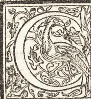 An illustration from Le vite de piv eccellenti architetti, pittori, et scvltori italiani : da Cimabve in sino à tempi nostri (1550)