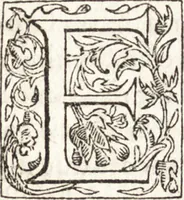 Picture 62 of 85 from Le vite de piv eccellenti architetti, pittori, et scvltori italiani : da Cimabve in sino à tempi nostri (1550), leaf 428