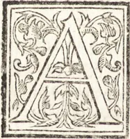 An illustration from Le vite de piv eccellenti architetti, pittori, et scvltori italiani : da Cimabve in sino à tempi nostri (1550)