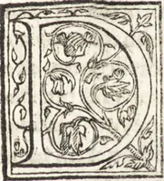 Picture 83 of 85 from Le vite de piv eccellenti architetti, pittori, et scvltori italiani : da Cimabve in sino à tempi nostri (1550), leaf 532