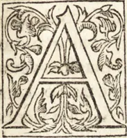 An illustration from Le vite de piv eccellenti architetti, pittori, et scvltori italiani : da Cimabve in sino à tempi nostri (1550)