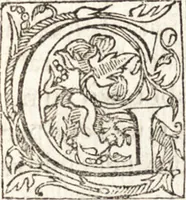 An illustration from Le vite de piv eccellenti architetti, pittori, et scvltori italiani : da Cimabve in sino à tempi nostri (1550)