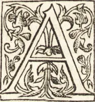 An illustration from Le vite de piv eccellenti architetti, pittori, et scvltori italiani : da Cimabve in sino à tempi nostri (1550)