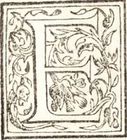 An illustration from Le vite de piv eccellenti architetti, pittori, et scvltori italiani : da Cimabve in sino à tempi nostri (1550)
